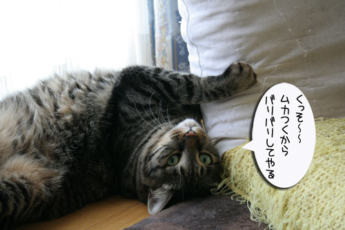 捨てられないモノと「ゲド戦記」_d0355333_16540621.jpg