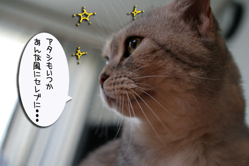 今日は何の日?_d0355333_16541457.jpg