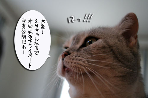 今日は何の日?_d0355333_16541490.jpg