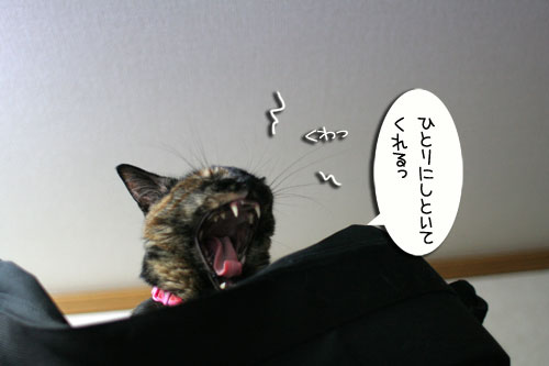室温調整が難しい_d0355333_16541727.jpg