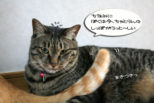 室温調整が難しい_d0355333_16541875.jpg