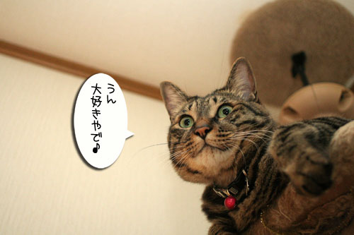 古いタワーにさようなら_d0355333_16542643.jpg