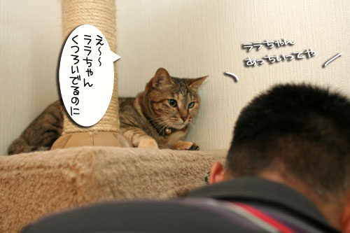 新しいタワーさん★こんにちは前編_d0355333_16543103.jpg