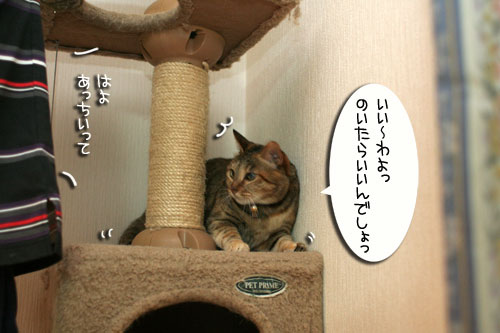 新しいタワーさん★こんにちは前編_d0355333_16543128.jpg