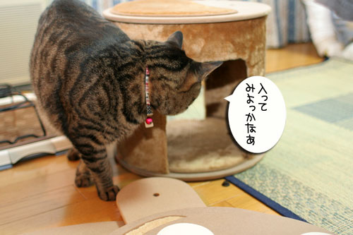 新しいタワーさん★こんにちは前編_d0355333_16543374.jpg