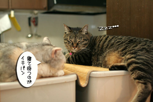新しいタワーさん★こんにちは前編_d0355333_16543475.jpg