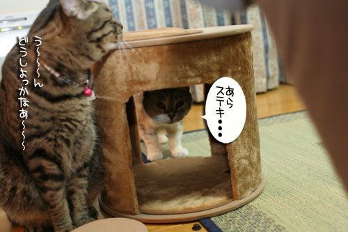 新しいタワーさん★こんにちは前編_d0355333_16543476.jpg