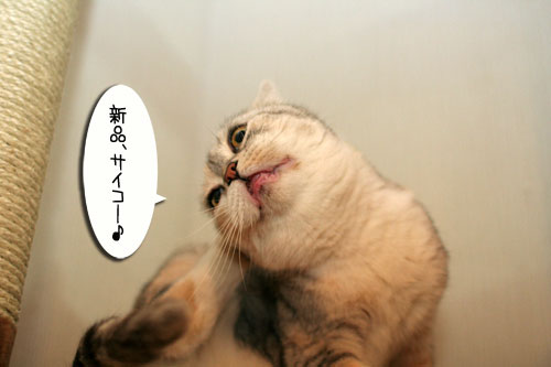 新しいタワーさん★こんにちは前編_d0355333_16543555.jpg