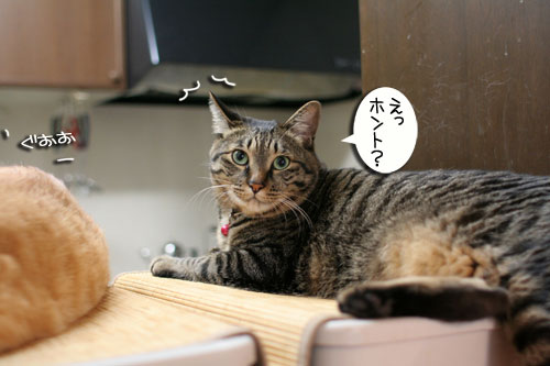 新しいタワーさん★こんにちは前編_d0355333_16543576.jpg