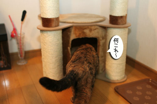 新しいタワーさん★こんにちは後編_d0355333_16543612.jpg