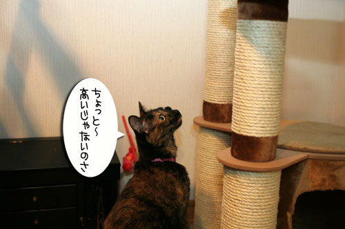 新しいタワーさん★こんにちは後編_d0355333_16543782.jpg