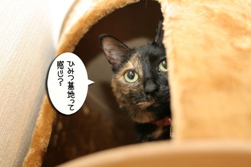 新しいタワーさん★こんにちは後編_d0355333_16543884.jpg
