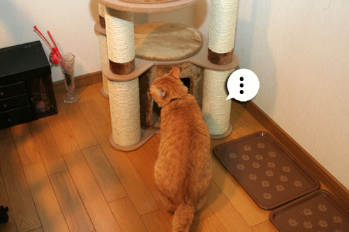 新しいタワーさん★こんにちは後編_d0355333_16543918.jpg