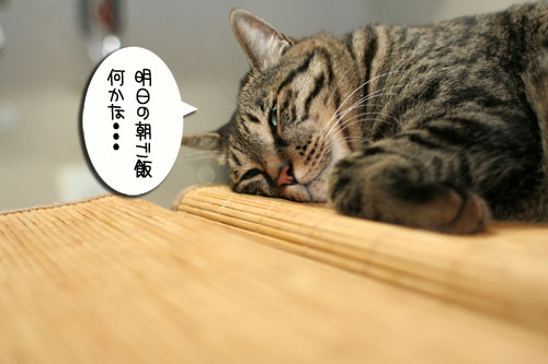 新しいタワーさん★こんにちは後編_d0355333_16544096.jpg