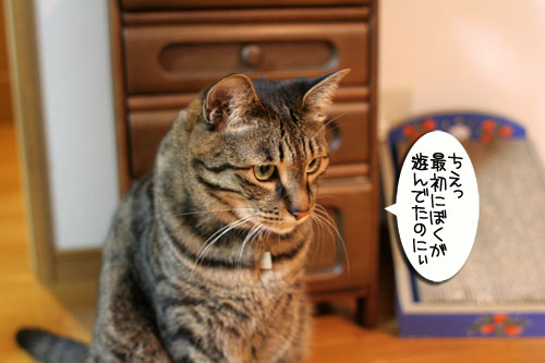 新しいおもちゃに突撃!_d0355333_16551205.jpg