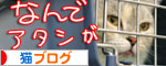 ワクチン接種してきました_d0355333_16551614.jpg