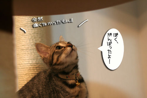ワクチンなんて平気_d0355333_16551759.jpg