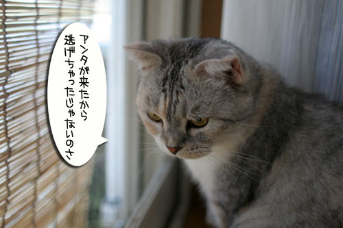 夏の風物詩でエコ!_d0355333_16552132.jpg