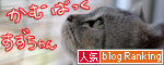 夏の風物詩でエコ!_d0355333_16552316.jpg