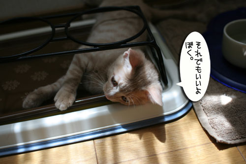 ★嬉しいお知らせ★_d0355333_16552642.jpg