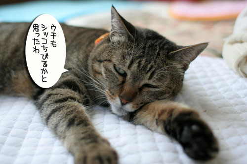 2階が洪水に(涙_d0355333_16553461.jpg