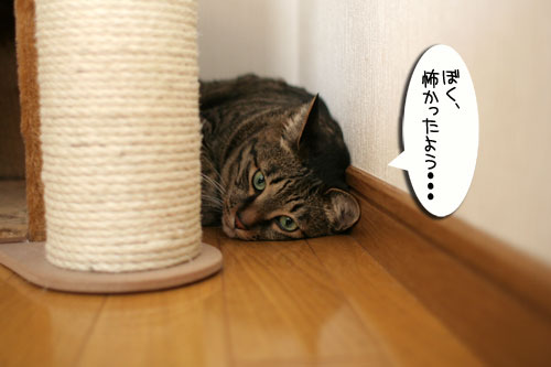 2階が洪水に(涙_d0355333_16553533.jpg