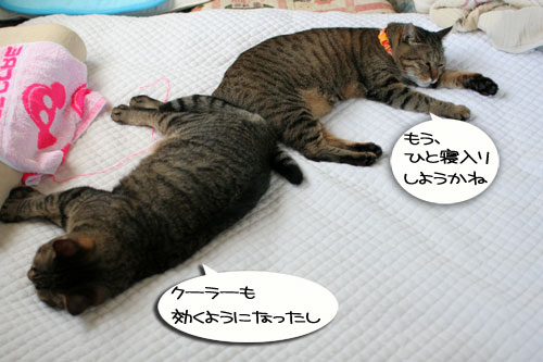 2階が洪水に(涙_d0355333_16553560.jpg