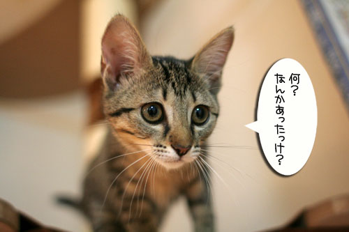 2階が洪水に(涙_d0355333_16553959.jpg