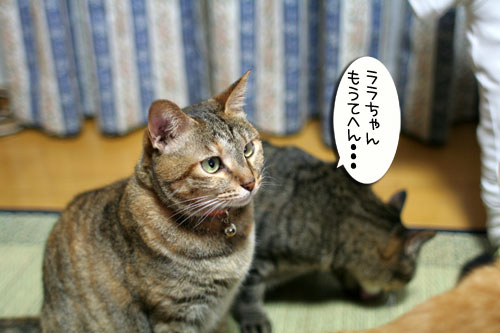 ら~さらにチャレンジ_d0355333_16554458.jpg