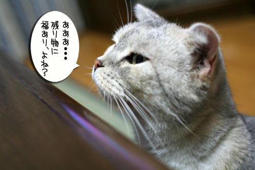 ら~さらにチャレンジ_d0355333_16554463.jpg