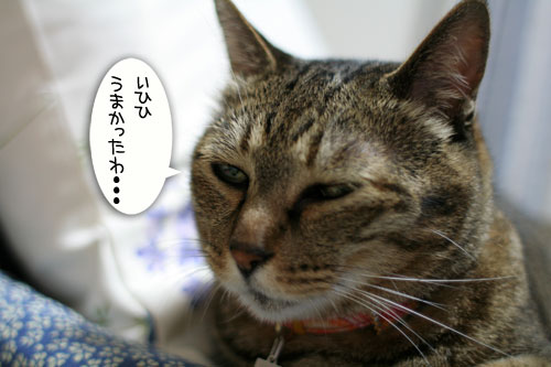 ら~さらにチャレンジ_d0355333_16554537.jpg