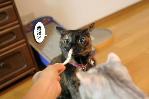 箱の中身は・・・_d0355333_16560059.jpg