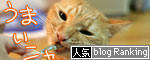 箱の中身は・・・_d0355333_16560301.jpg