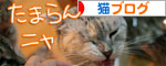 箱の中身は・・・_d0355333_16560324.jpg