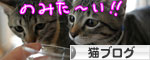 大人の味ってどんな味?_d0355333_16560722.jpg