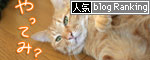 大人の味ってどんな味?_d0355333_16560739.jpg