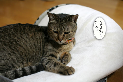 いるの?いらないの?_d0355333_16561335.jpg