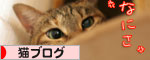 いるの?いらないの?_d0355333_16561394.jpg