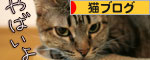最大積載量_d0355333_16562795.jpg