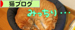 New猫ベッド争奪戦★後編_d0355333_16563382.jpg