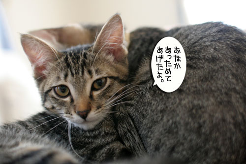 寝冷えにご注意_d0355333_16563479.jpg