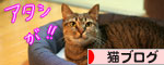 寝冷えにご注意_d0355333_16563525.jpg