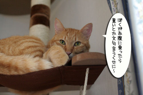 寝冷えにご注意_d0355333_16563567.jpg