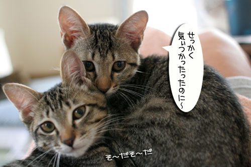 寝冷えにご注意_d0355333_16563569.jpg