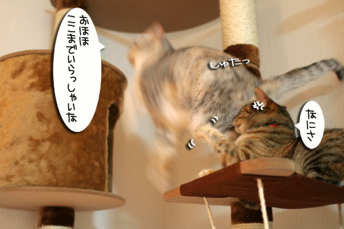 チャレンジしてこそ・・・!_d0355333_16564190.jpg