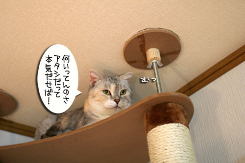 チャレンジしてこそ・・・!_d0355333_16564211.jpg