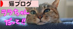 チャレンジしてこそ・・・!_d0355333_16564569.jpg