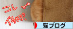 賞味期限にご注意_d0355333_16565968.jpg