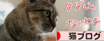 100万カウプレのご案内♪_d0355333_16570026.jpg