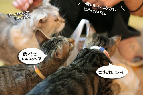 もものお客さま 前編_d0355333_16570427.jpg